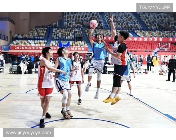 西安篮球队近期状态全面解析及对比分析