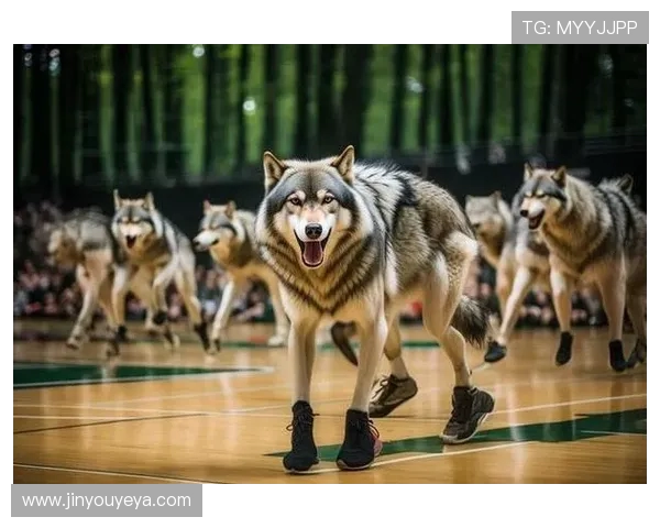 2016年森林狼与火箭精彩对决回顾及赛后分析