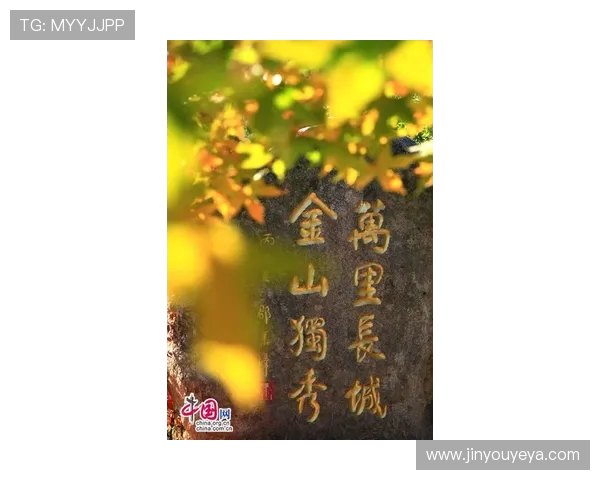 月光下的对话月影中的思考月的轮回与心灵的碰撞