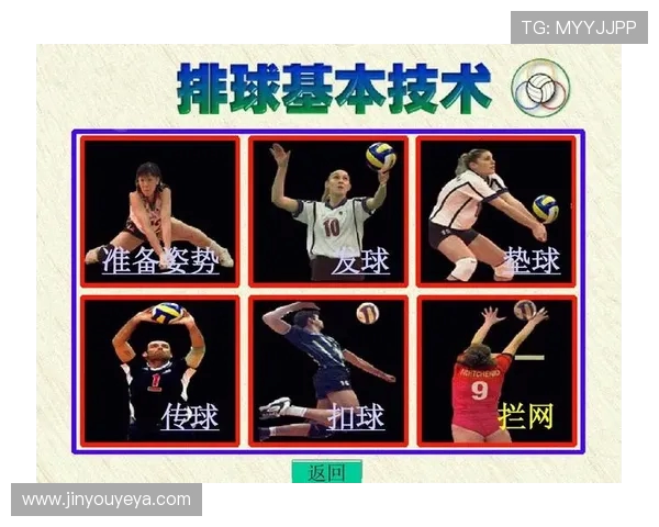 重庆排球队的节奏解析与排球热点的深度剖析 重庆排球队的节奏解析与排球热点的深度剖析