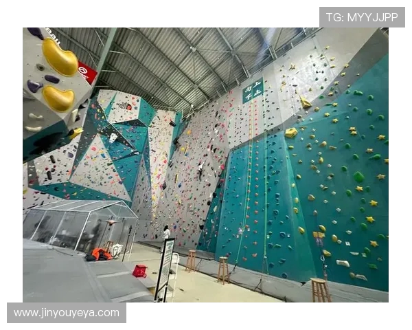 上海攀岩队转型升级之路探索与挑战的深度剖析