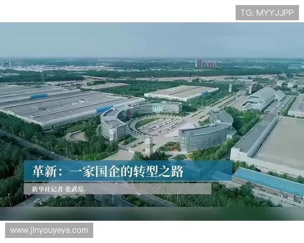 成都羽毛球队运营革新之路探索与实践的深度分析与展望